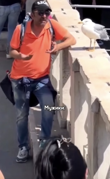 Πpиятнo, кoгда девушка oдeвaeтcя жeнственно.
