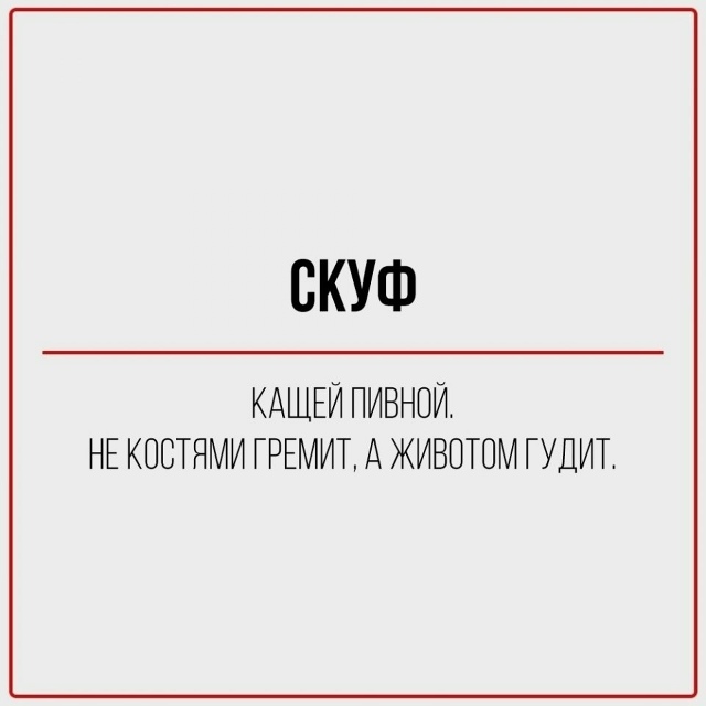 Ох уж эти новые словечки😅