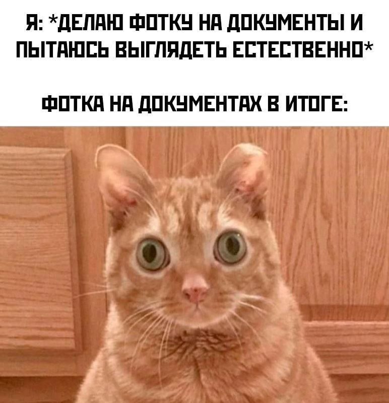 Утренняя подборочка