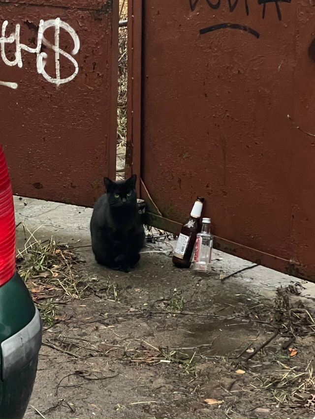 Настроение осень 🍂