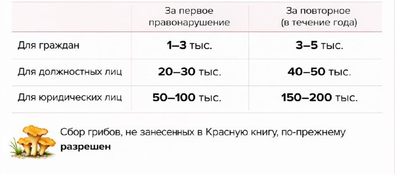 🍄‍🟫 За сбор и продажу краснокнижных грибов в Подмосковье ввели штрафы
Они начнут действовать с 1 с