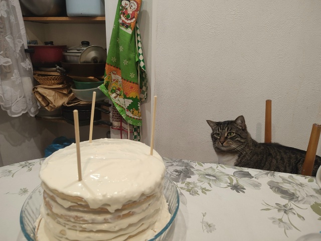 #Мотя и мечты о тортике