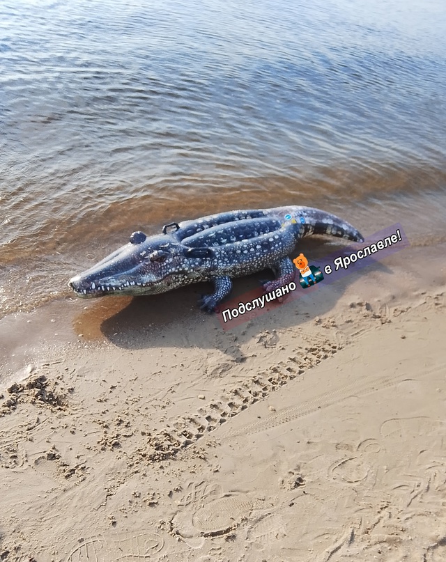 Волга. Пляж. Будьте осторожны!