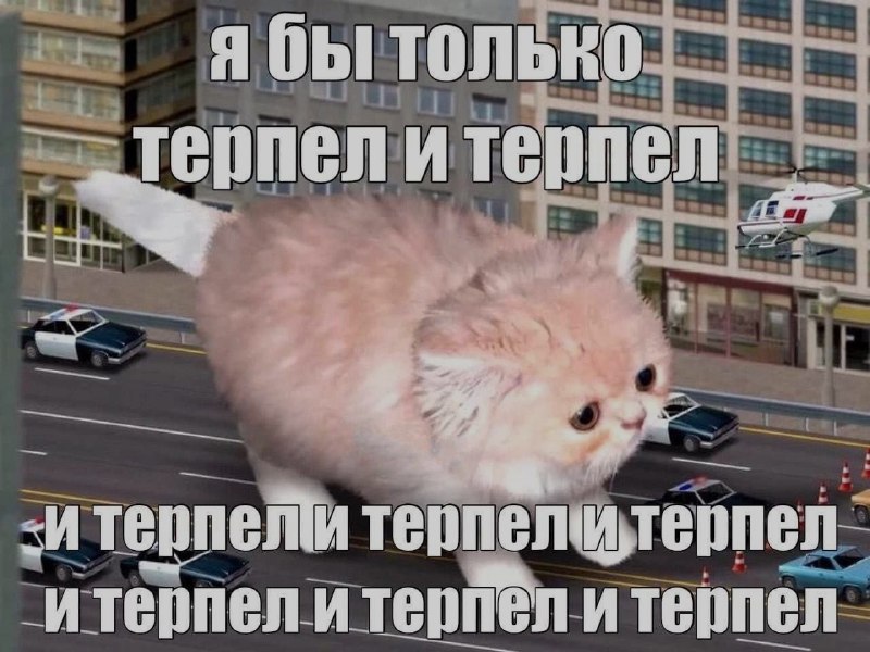 Ночная подборочка
Спать, режим