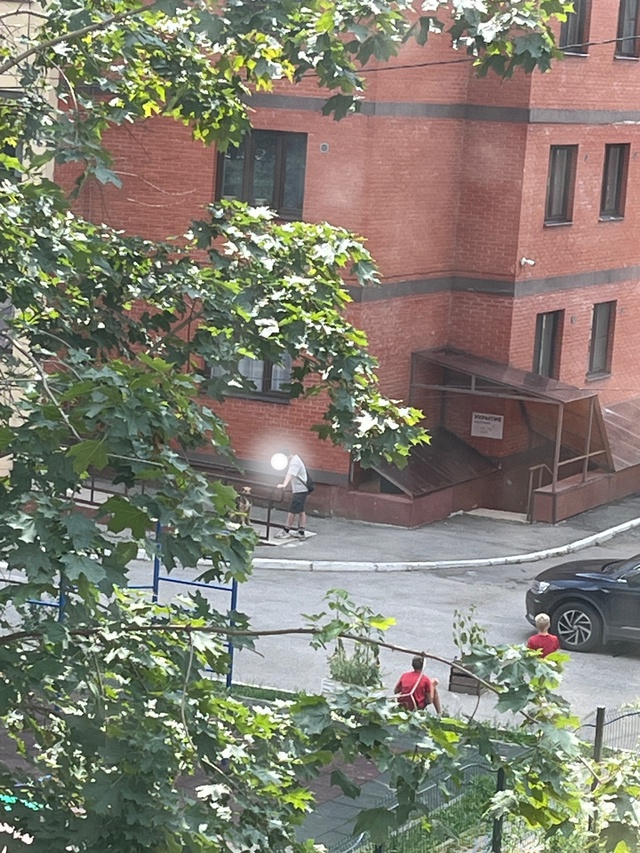 Академка Павлова 34г
12:30 по мск
Собака в плачевном сост?...