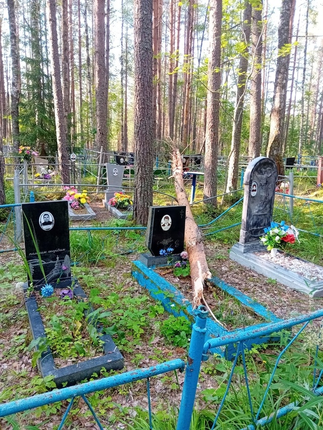 С утра съездили на кладбище,это вход от пешеходного пе?...