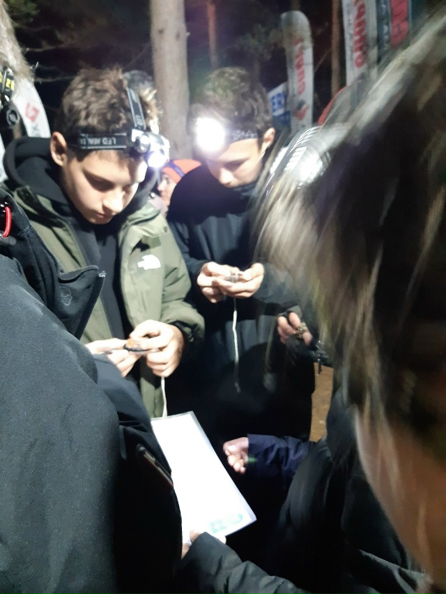 4 октября ученики 423 школы участвовали в 53-х соревнован?...