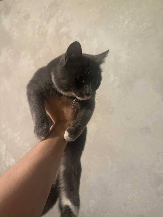 В районе железнодорожного вокзала Пермь II обнаружен и ...