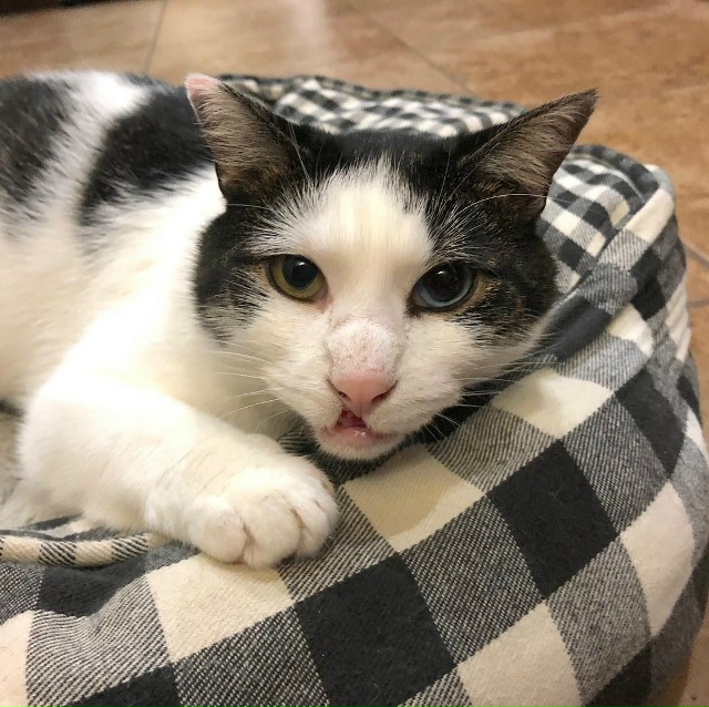 Это одна из тех историй, которые невозможно читать без ...