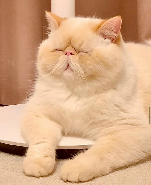 Нашли вам немного покоя, оставьте его при себе на всяки...