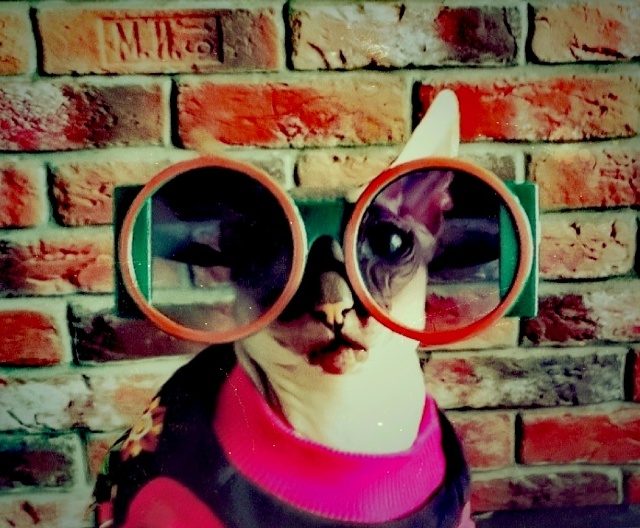 Его величество Мефистофель