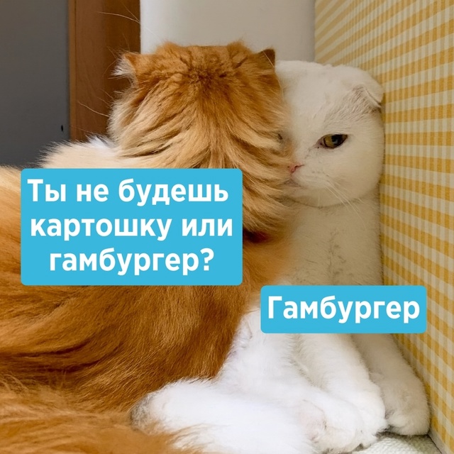 Кое-что на женском