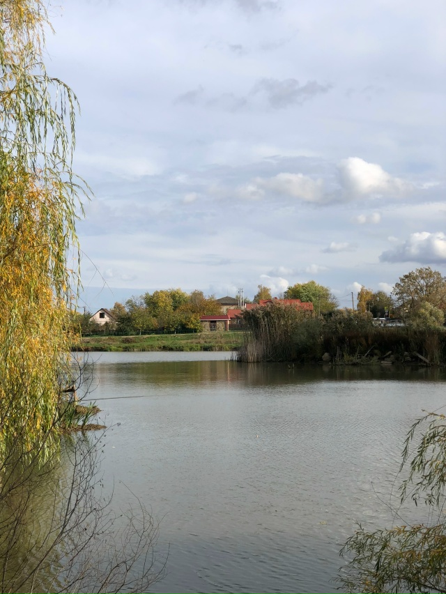 Поехали сегодня полюбоваться красивым озером. Там так ...