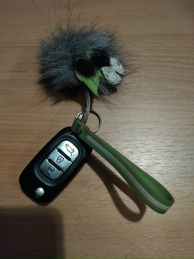 Найден ключ от авто у Дома Быта.
[id72707875|Елена Екимовска?...