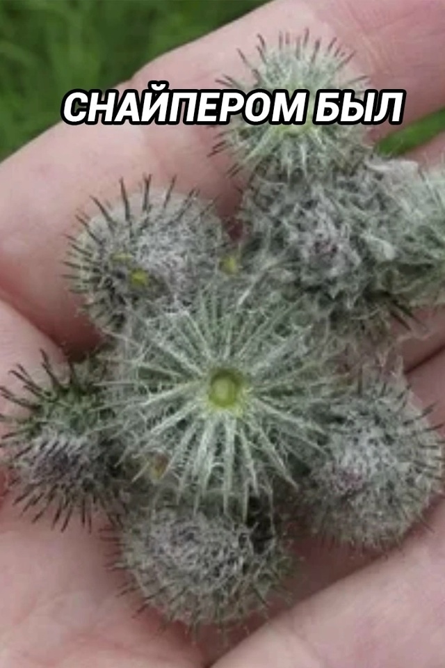 Ох, уж это богатое на события и опыт лето в деревне у ба?...