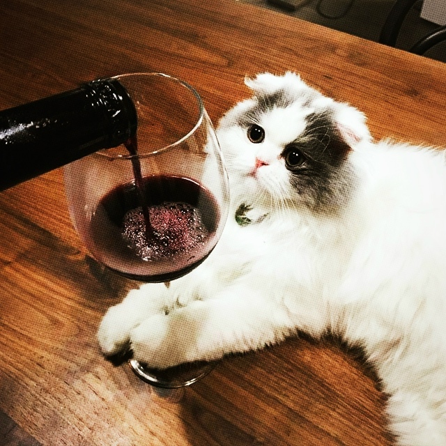 🍷 День дегустации вина отмечается в первую субботу но...