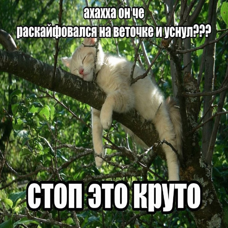 Утренняя подборочка