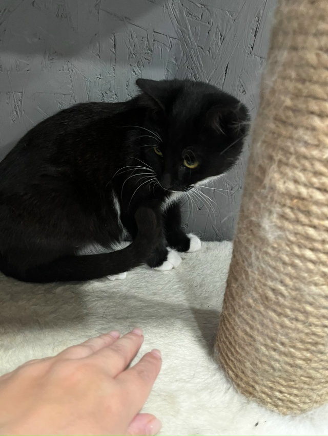 Кировск.
Подарите ребёнку дом и любящую семью 🙏🏻.
Нес...