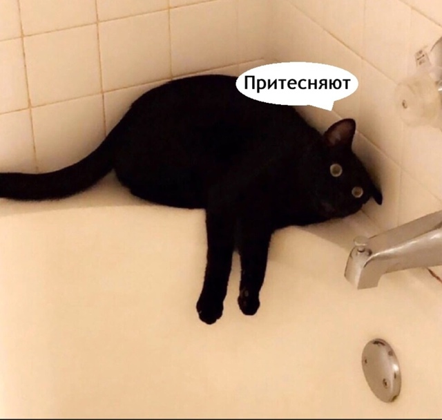 Жаль этого добряка конечно