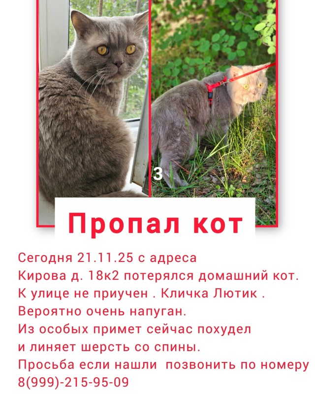 #ПотерялиНашлиПомогите
1 нашли собаку просьба отзови?...