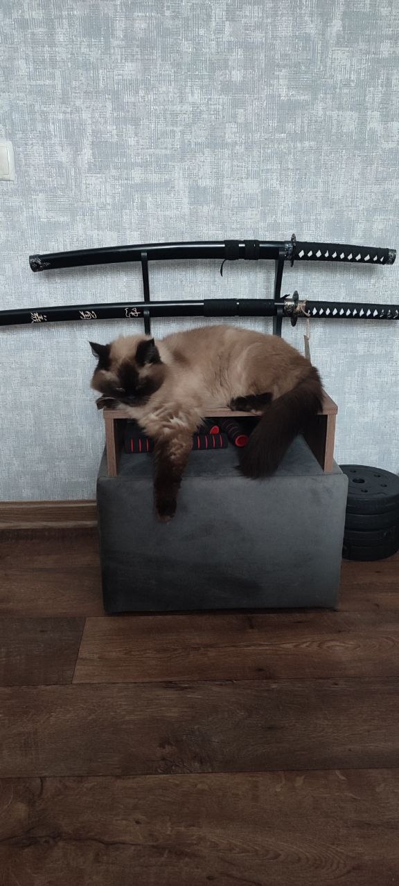 Мои Рыжий и Лавр)