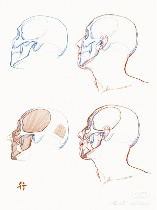 Голова
Sketch
Tutorial