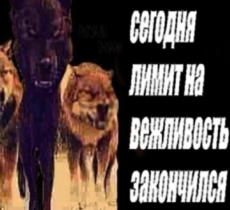 Я с чатом гпт через 2 секунды после того, как поздоровалась с ним, вежливо о чем-то попросила, но он