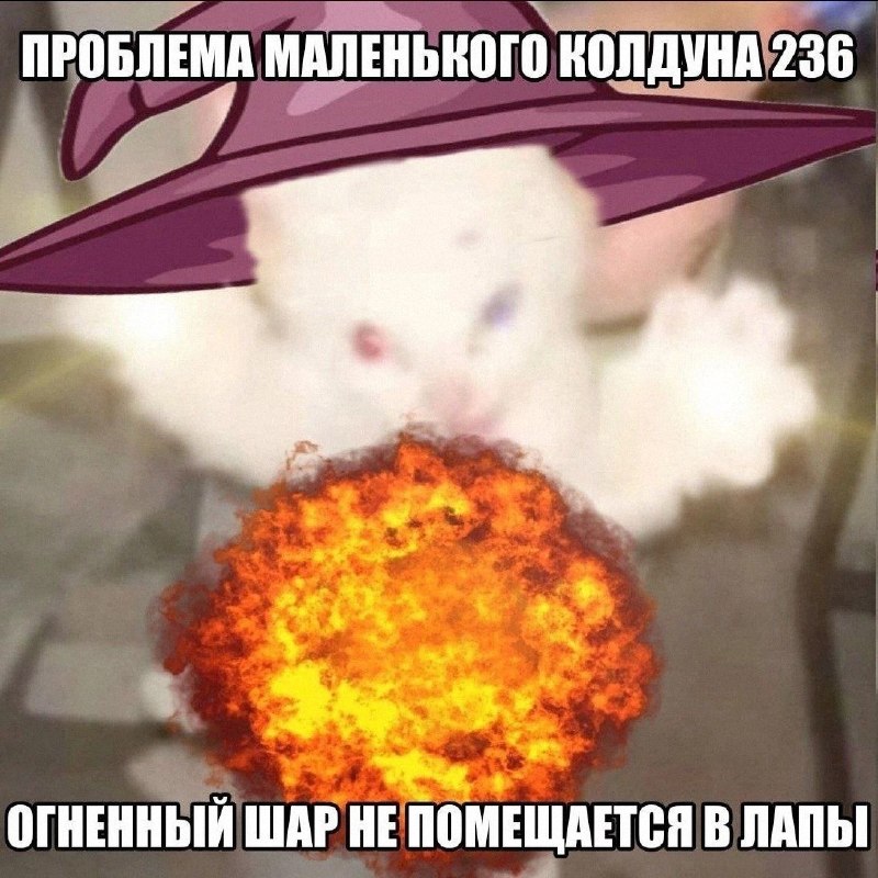 Утренняя подборочка