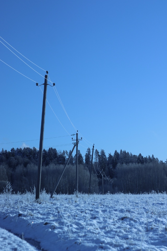 Мороз и солнце на реке Руза ❄️☀️
