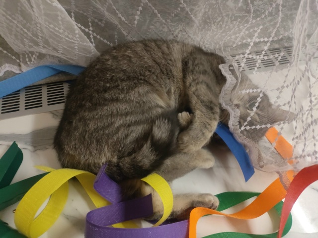 Не #мявстерская
....и ленточки!