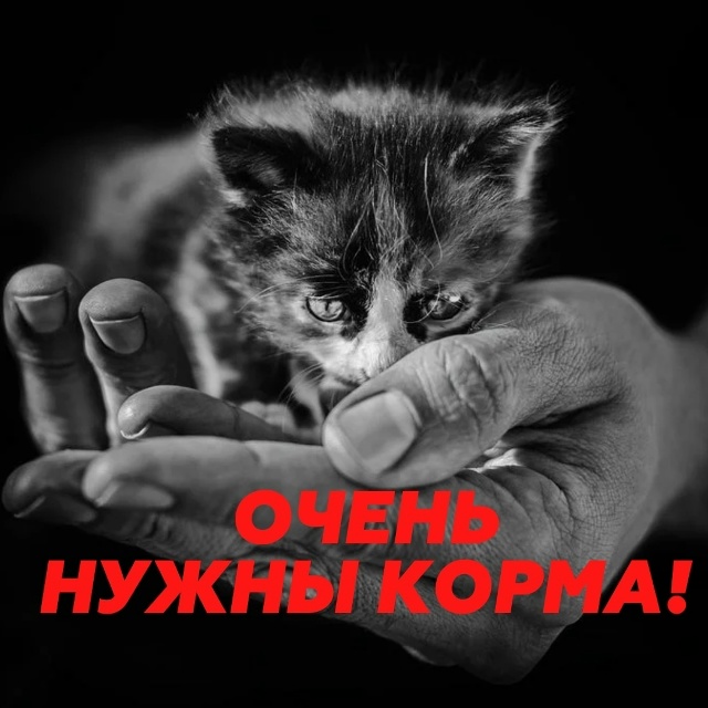 Друзья!
Мы снова к вам с просьбой помочь нам собрать де...