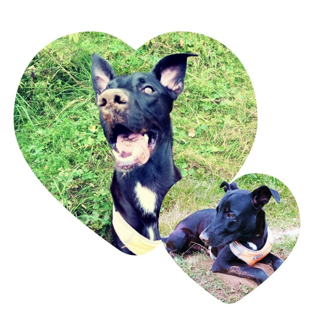 Доброго время суток всем, Помогите пристроить квартир?...