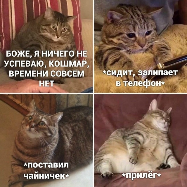 Лентяи тут?