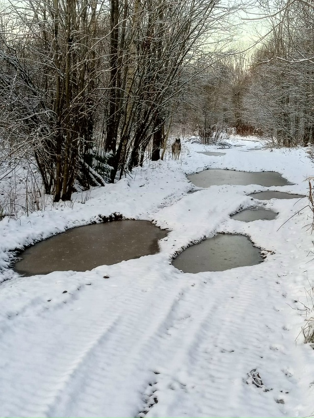 Пропустите, пожалуйста
🆘️🆘️🆘️🆘️🆘️🆘️🆘️🆘️?...