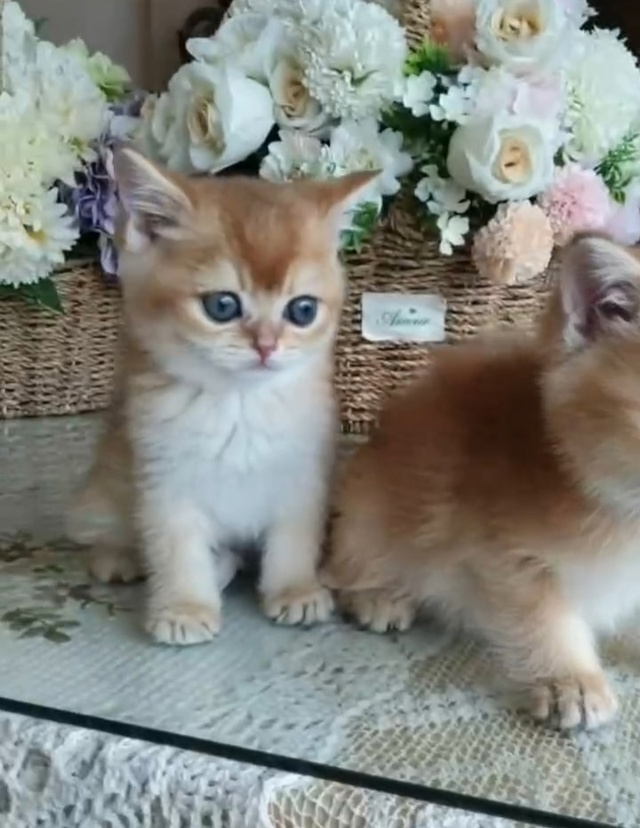 Утренняя милота ?