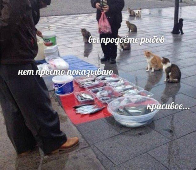 Сделать четверг «рыбным» днём и продавать рыбу в этот день в магазинах со скидкой 50% призвали в Гос