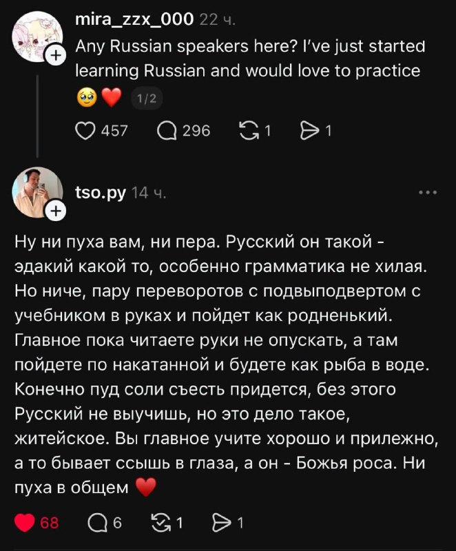 «Есть здесь русскоязычные? Я только начала изучать русский язык и очень хотела бы попрактиковаться»