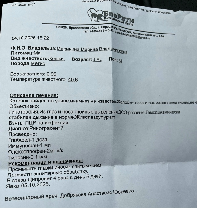 Друзья!
Мы все еще пытаемся насобирать денежку на пога...