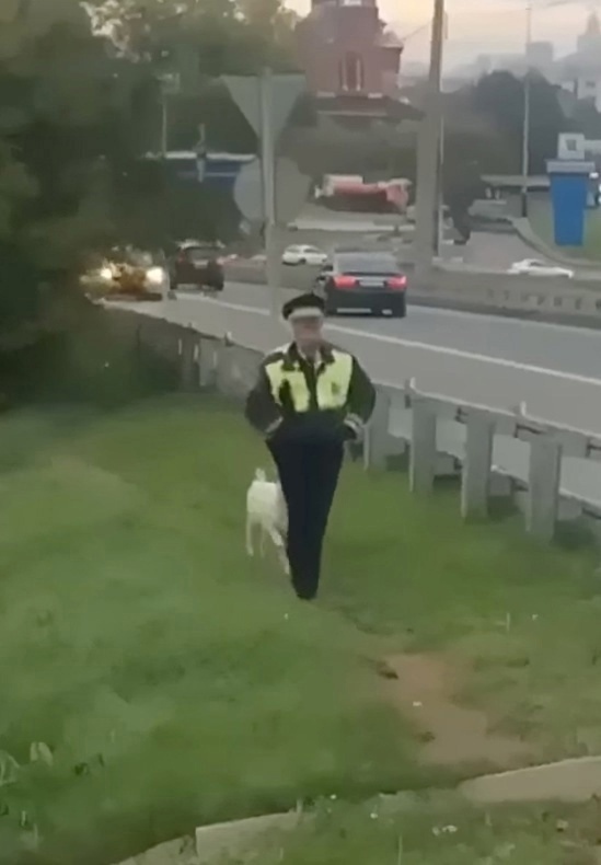 Он нашел себе лучшего друга..