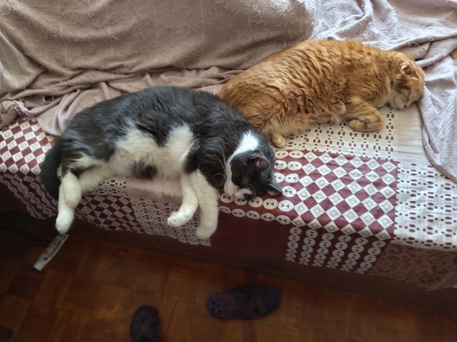 Нормальное состояние.