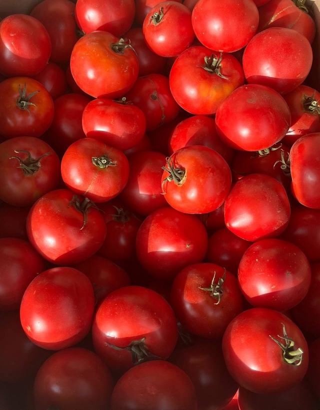 🍅 1000+ жителей города в чате Фермеры Садоводы Салавата....