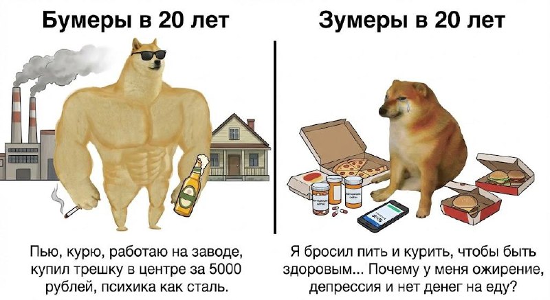 Зумеры стали самым проблемным поколением.
Каждый четвёртый живёт в бедности, уровень ожирения выро