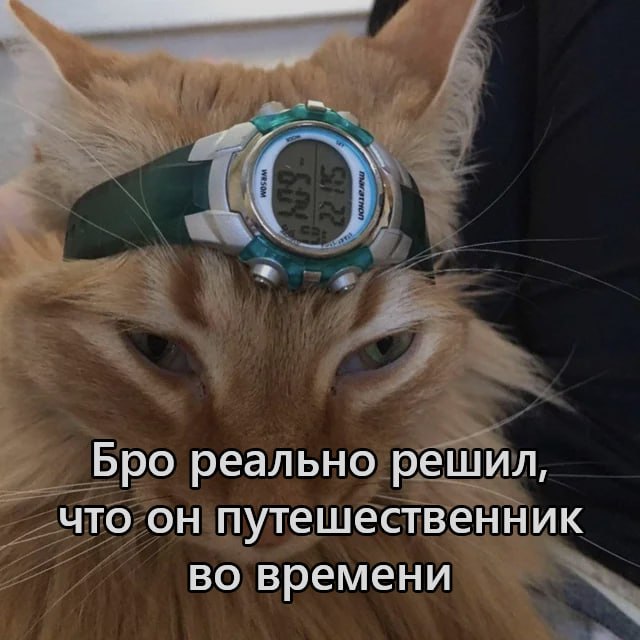 Ночная подборочка
Спать, режим