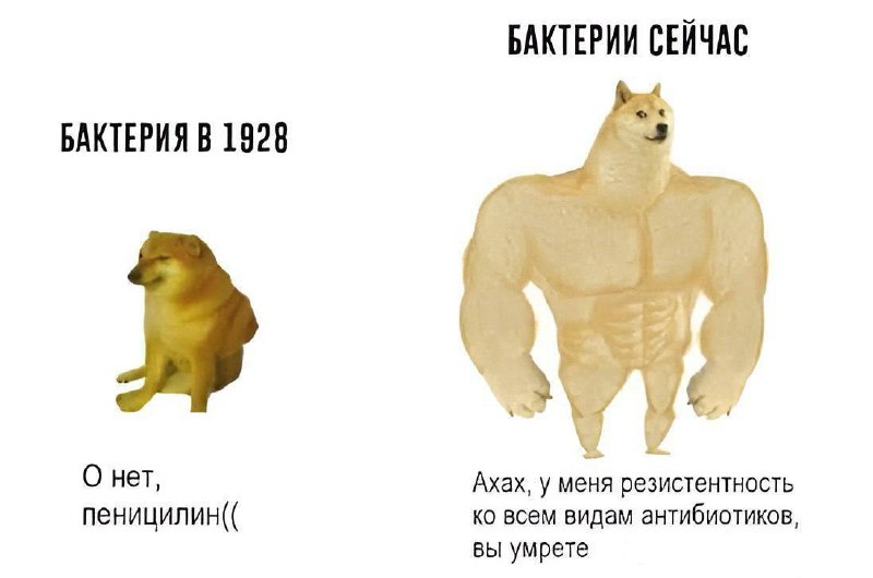 Антибиотики больше не работают — ВОЗ опубликовали жуткий доклад с данными из 100 стран, который вам