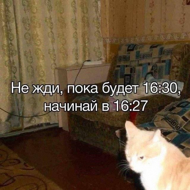 Утренняя подборочка