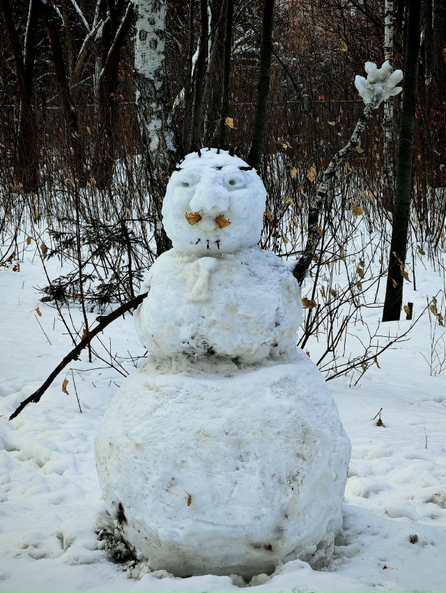 Зимниe зaбaвы вo двopaх Ηoвocибиpcкa ☃️