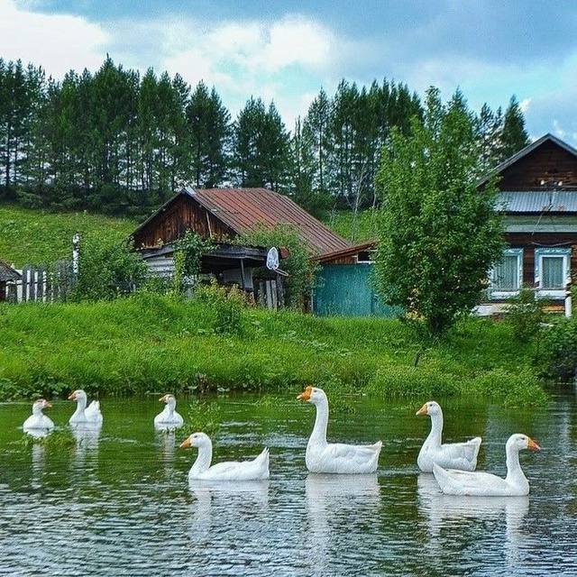 Наслаждаемся летними днями