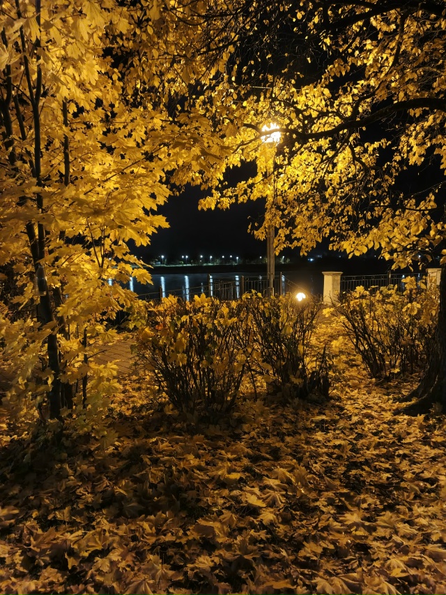 Эх золотая , туманная осень 🍁