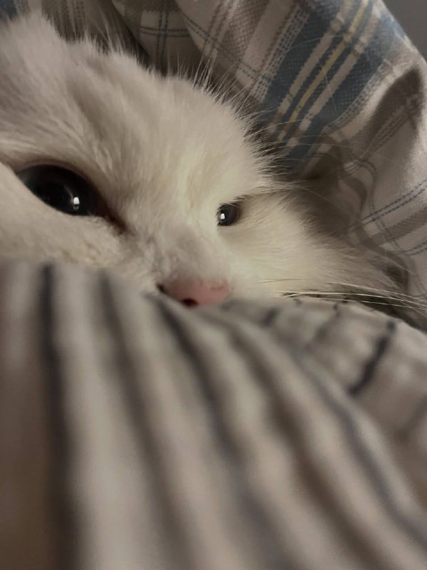 Укутываемся потеплее и спотб :3