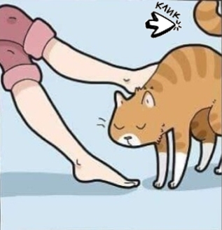 Извечный сюрприз от любимого котика)😂